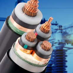 DÂY VÀ CÁP ĐIỆN LỰC HẠ THẾ