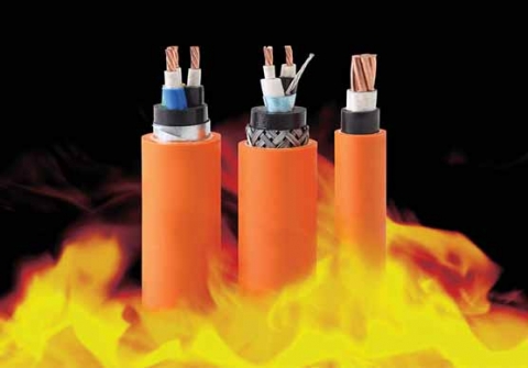 CVV/DATA/FR – 0,6/1 kV & CVV/DSTA/FR – 0,6/1 kV CÁP CHỐNG CHÁY, RUỘT ĐỒNG, BĂNG MICA, CÁCH ĐIỆN PVC, GIÁP BĂNG KIM LOẠI, VỎ FR–PVC